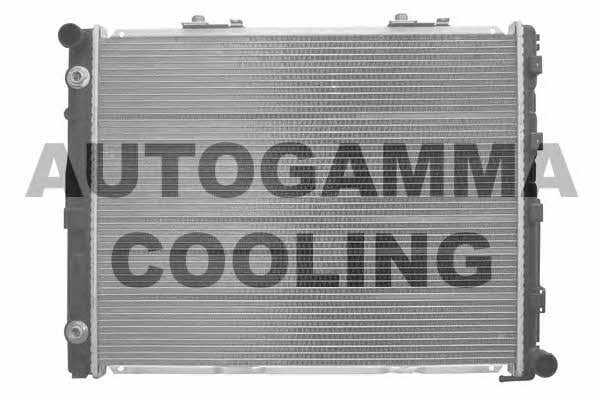 Autogamma 103335 Радіатор охолодження двигуна 103335: Приваблива ціна - Купити в Україні на EXIST.UA!