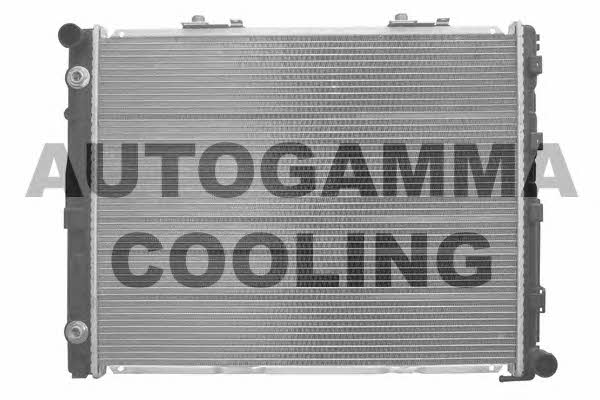 Autogamma 103335 Радіатор охолодження двигуна 103335: Купити в Україні - Добра ціна на EXIST.UA!