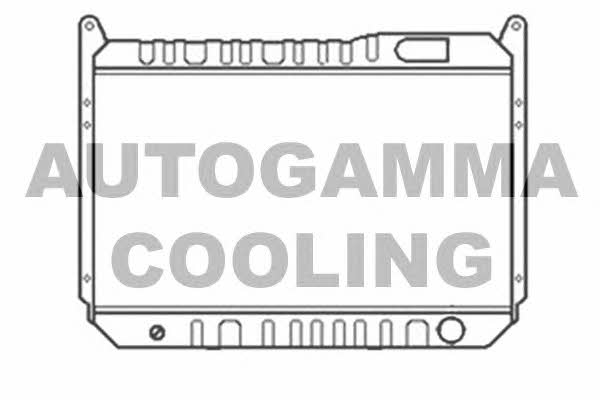 Autogamma 103345 Радіатор охолодження двигуна 103345: Купити в Україні - Добра ціна на EXIST.UA!