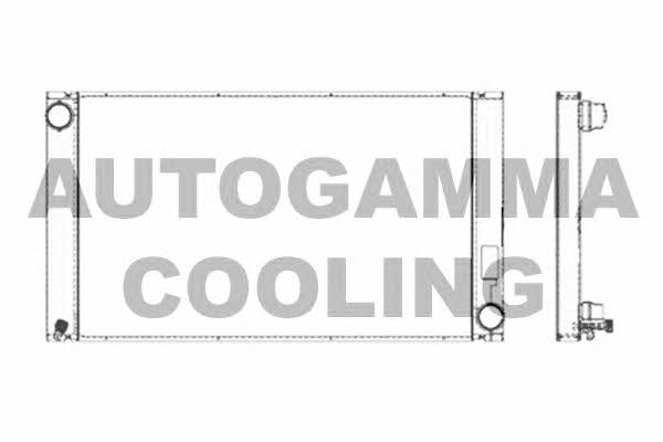 Autogamma 103391 Радіатор охолодження двигуна 103391: Купити в Україні - Добра ціна на EXIST.UA!