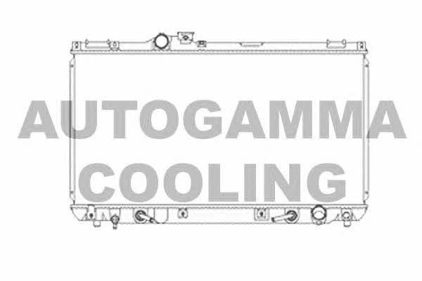 Autogamma 104671 Радіатор охолодження двигуна 104671: Купити в Україні - Добра ціна на EXIST.UA!