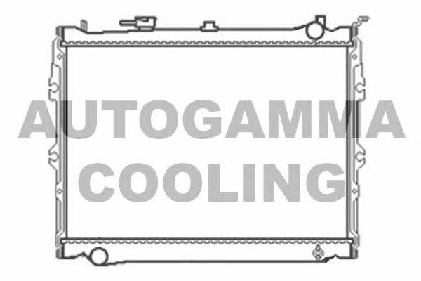 Autogamma 104679 Радіатор охолодження двигуна 104679: Купити в Україні - Добра ціна на EXIST.UA!