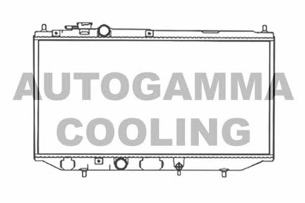 Autogamma 103402 Радіатор охолодження двигуна 103402: Купити в Україні - Добра ціна на EXIST.UA!