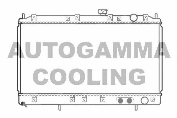 Autogamma 103479 Радіатор охолодження двигуна 103479: Купити в Україні - Добра ціна на EXIST.UA!