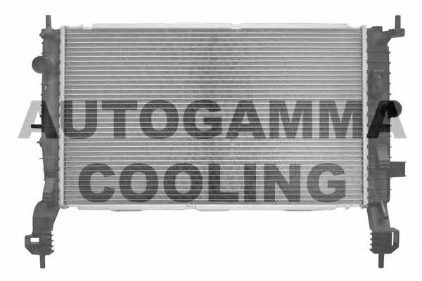 Autogamma 103519 Радіатор охолодження двигуна 103519: Купити в Україні - Добра ціна на EXIST.UA!
