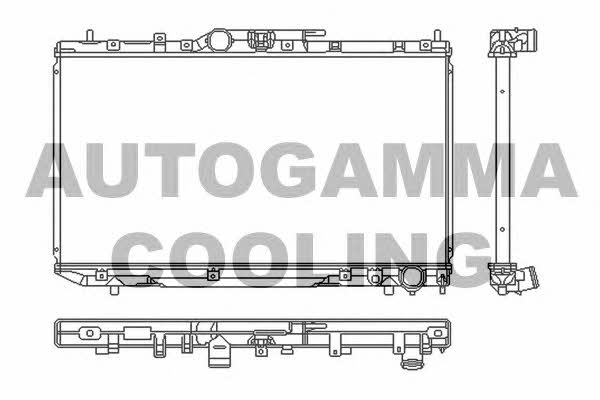 Autogamma 103539 Радіатор охолодження двигуна 103539: Купити в Україні - Добра ціна на EXIST.UA!