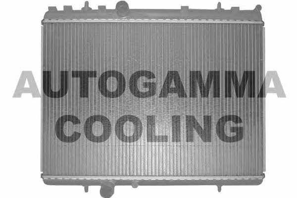 Autogamma 103640 Радіатор охолодження двигуна 103640: Купити в Україні - Добра ціна на EXIST.UA!