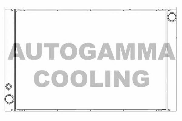 Autogamma 105765 Радіатор охолодження двигуна 105765: Купити в Україні - Добра ціна на EXIST.UA!