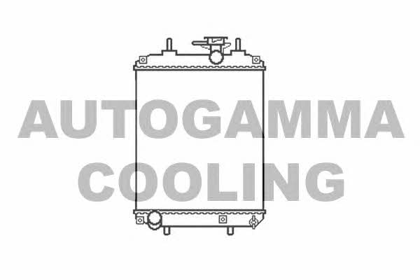 Autogamma 105790 Радіатор охолодження двигуна 105790: Купити в Україні - Добра ціна на EXIST.UA!