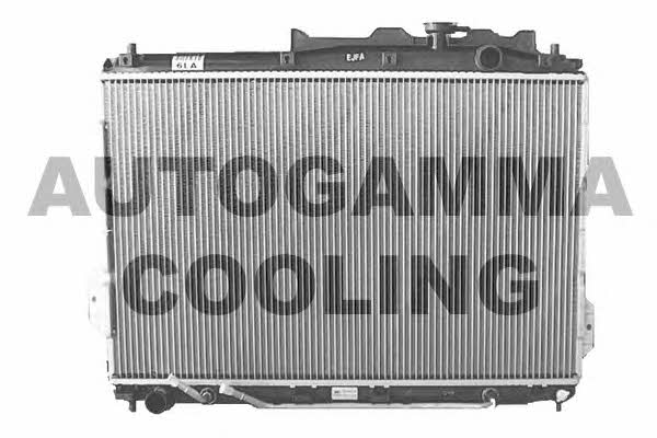 Autogamma 105796 Радіатор охолодження двигуна 105796: Купити в Україні - Добра ціна на EXIST.UA!