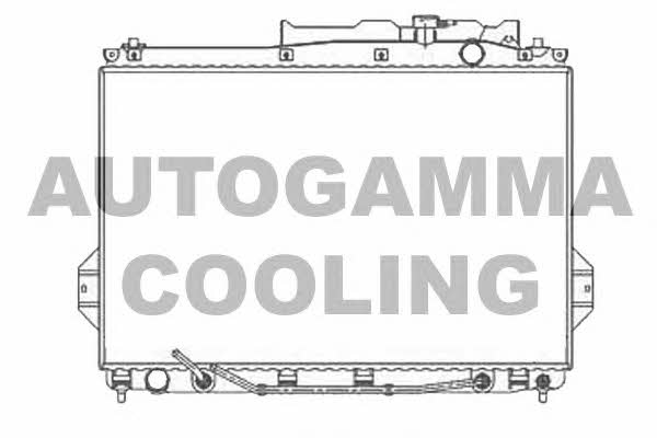 Autogamma 105798 Радіатор охолодження двигуна 105798: Купити в Україні - Добра ціна на EXIST.UA!