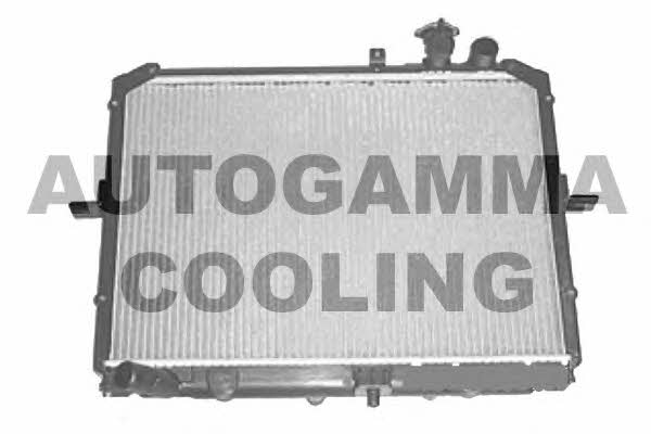 Autogamma 105801 Радіатор охолодження двигуна 105801: Купити в Україні - Добра ціна на EXIST.UA!