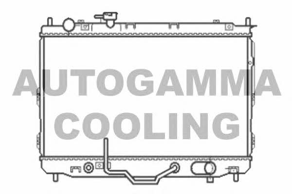 Autogamma 105802 Радіатор охолодження двигуна 105802: Купити в Україні - Добра ціна на EXIST.UA!