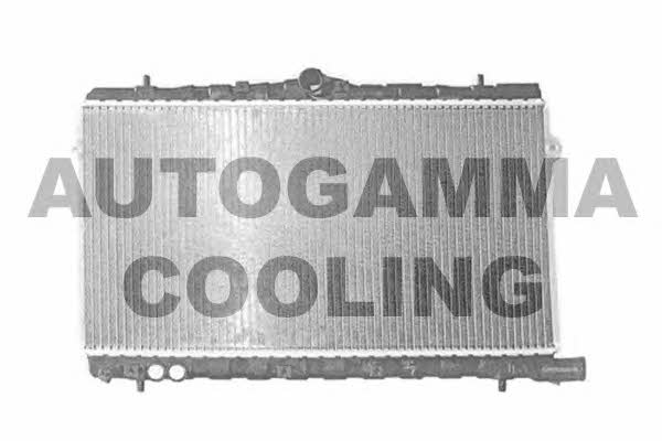 Autogamma 103772 Радіатор охолодження двигуна 103772: Купити в Україні - Добра ціна на EXIST.UA!