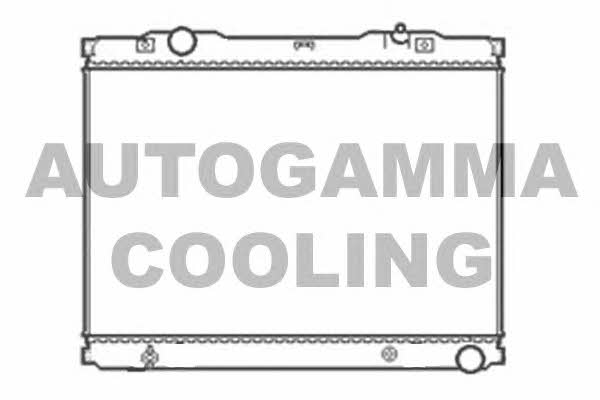 Autogamma 103848 Радіатор охолодження двигуна 103848: Купити в Україні - Добра ціна на EXIST.UA!