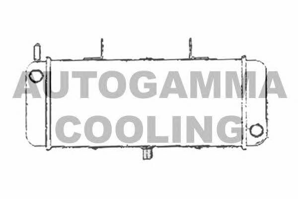 Autogamma 103870 Радіатор охолодження двигуна 103870: Купити в Україні - Добра ціна на EXIST.UA!