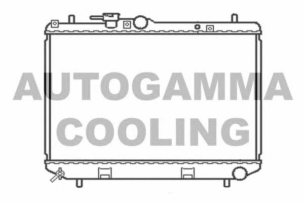 Autogamma 103913 Радіатор охолодження двигуна 103913: Приваблива ціна - Купити в Україні на EXIST.UA!