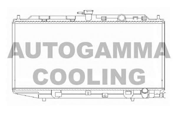 Autogamma 103925 Радіатор охолодження двигуна 103925: Приваблива ціна - Купити в Україні на EXIST.UA!