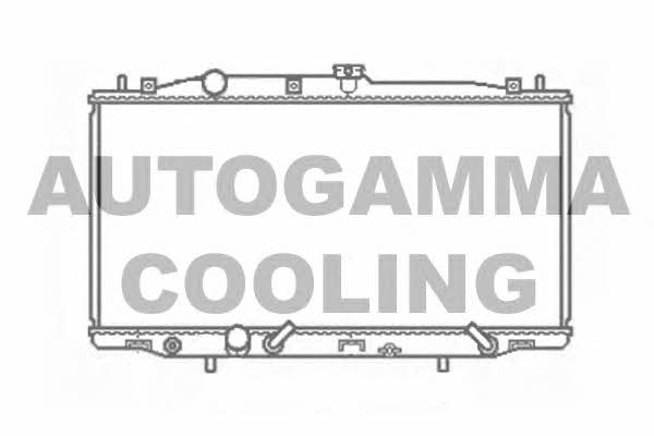 Autogamma 103926 Радіатор охолодження двигуна 103926: Приваблива ціна - Купити в Україні на EXIST.UA!