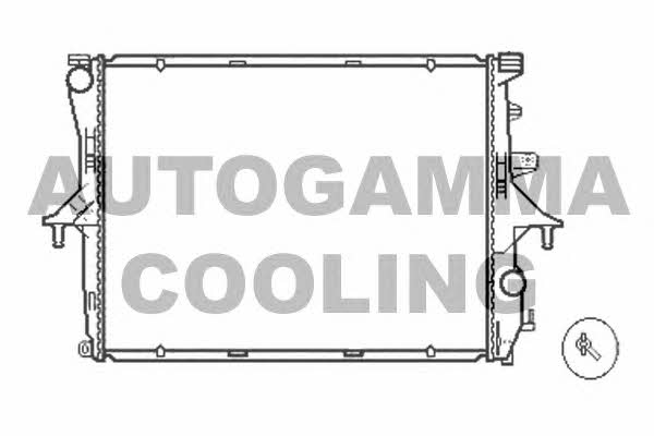 Autogamma 103943 Радіатор охолодження двигуна 103943: Купити в Україні - Добра ціна на EXIST.UA!