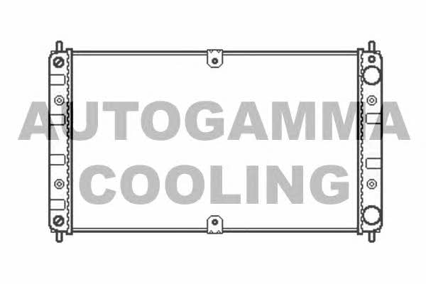 Autogamma 107036 Радіатор охолодження двигуна 107036: Приваблива ціна - Купити в Україні на EXIST.UA!