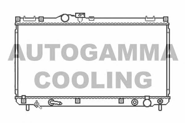 Autogamma 107063 Радіатор охолодження двигуна 107063: Приваблива ціна - Купити в Україні на EXIST.UA!