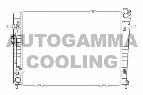 Autogamma 107072 Радіатор охолодження двигуна 107072: Приваблива ціна - Купити в Україні на EXIST.UA!