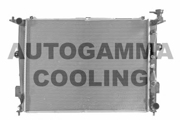 Autogamma 107118 Радіатор охолодження двигуна 107118: Купити в Україні - Добра ціна на EXIST.UA!