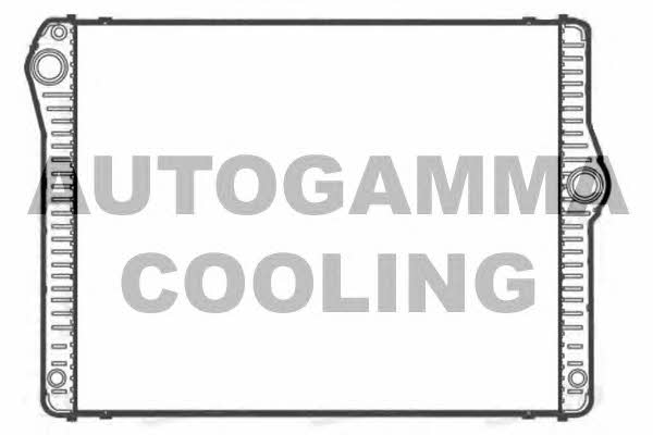 Autogamma 107128 Радіатор охолодження двигуна 107128: Купити в Україні - Добра ціна на EXIST.UA!