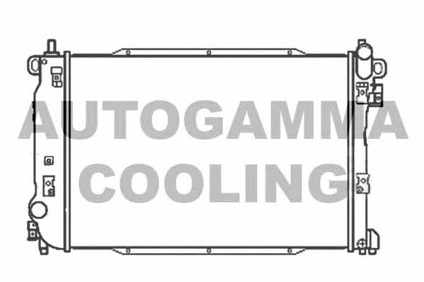 Autogamma 107204 Радіатор охолодження двигуна 107204: Купити в Україні - Добра ціна на EXIST.UA!