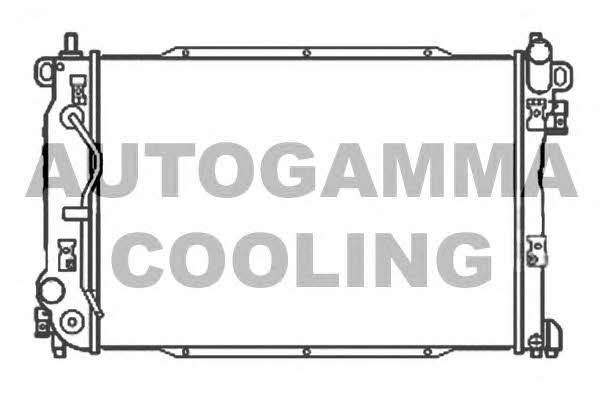 Autogamma 107205 Радіатор охолодження двигуна 107205: Приваблива ціна - Купити в Україні на EXIST.UA!