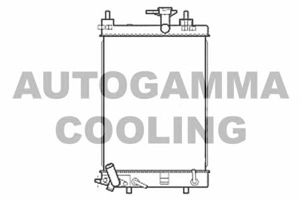 Autogamma 107206 Радіатор охолодження двигуна 107206: Купити в Україні - Добра ціна на EXIST.UA!