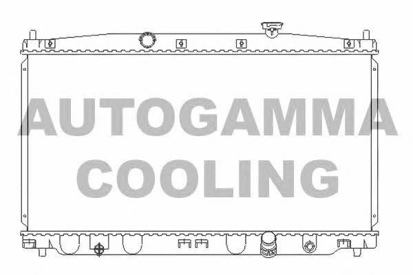 Autogamma 107217 Радіатор охолодження двигуна 107217: Купити в Україні - Добра ціна на EXIST.UA!