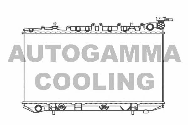 Autogamma 103973 Радіатор охолодження двигуна 103973: Купити в Україні - Добра ціна на EXIST.UA!