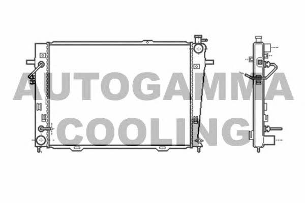 Autogamma 104011 Радіатор охолодження двигуна 104011: Купити в Україні - Добра ціна на EXIST.UA!