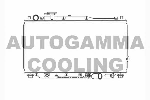 Autogamma 104031 Радіатор охолодження двигуна 104031: Купити в Україні - Добра ціна на EXIST.UA!