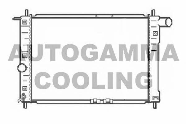 Autogamma 104059 Радіатор охолодження двигуна 104059: Купити в Україні - Добра ціна на EXIST.UA!