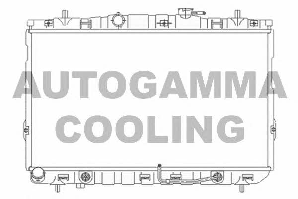 Autogamma 104077 Радіатор охолодження двигуна 104077: Купити в Україні - Добра ціна на EXIST.UA!