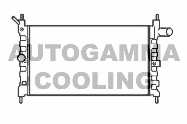 Autogamma 104116 Радіатор охолодження двигуна 104116: Купити в Україні - Добра ціна на EXIST.UA!