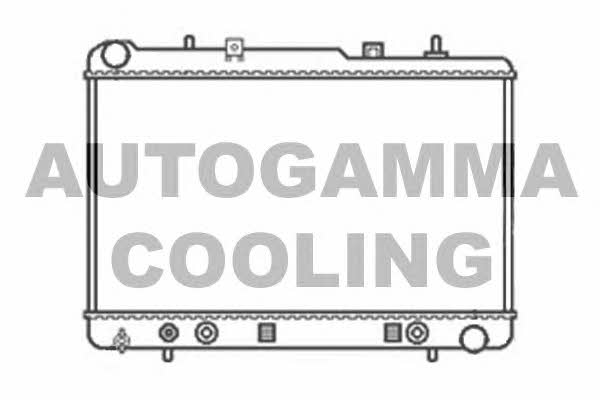 Autogamma 104131 Радіатор охолодження двигуна 104131: Купити в Україні - Добра ціна на EXIST.UA!