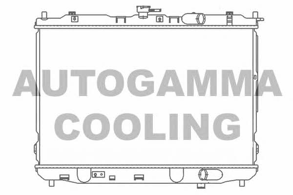 Autogamma 104173 Радіатор охолодження двигуна 104173: Купити в Україні - Добра ціна на EXIST.UA!