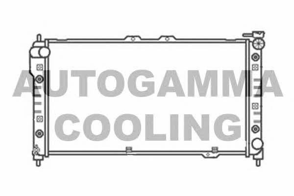Autogamma 104176 Радіатор охолодження двигуна 104176: Купити в Україні - Добра ціна на EXIST.UA!