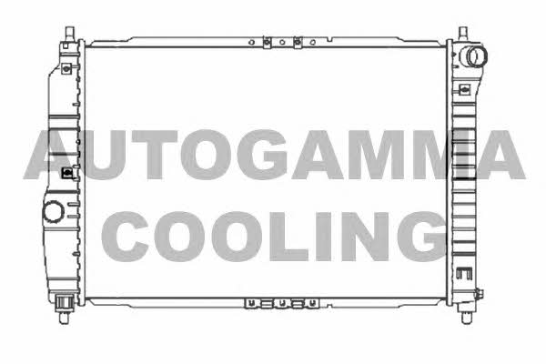 Autogamma 104256 Радіатор охолодження двигуна 104256: Купити в Україні - Добра ціна на EXIST.UA!