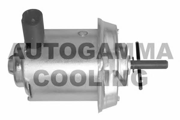 Autogamma GA201655 Вентилятор радіатора охолодження GA201655: Купити в Україні - Добра ціна на EXIST.UA!