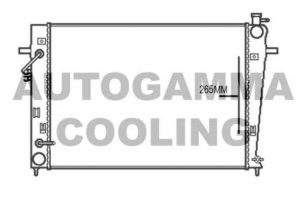 Autogamma 107376 Радіатор охолодження двигуна 107376: Купити в Україні - Добра ціна на EXIST.UA!