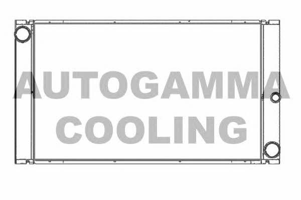 Autogamma 107411 Радіатор охолодження двигуна 107411: Купити в Україні - Добра ціна на EXIST.UA!
