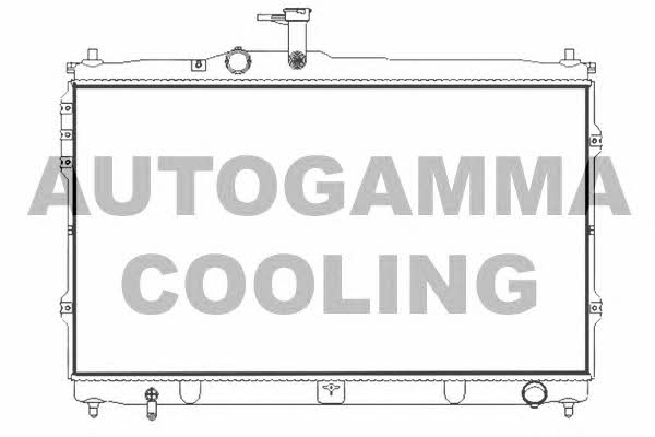 Autogamma 107391 Радіатор охолодження двигуна 107391: Купити в Україні - Добра ціна на EXIST.UA!