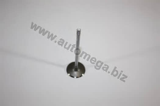 AutoMega 1006410048 Клапан впускний 1006410048: Купити в Україні - Добра ціна на EXIST.UA!