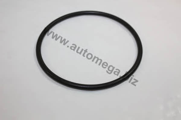 AutoMega 101210043069 Прокладка насосу охолоджувальної рідини 101210043069: Купити в Україні - Добра ціна на EXIST.UA!