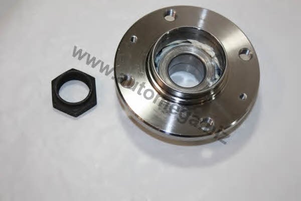 303748028 AutoMega Подшипник ступицы колеса, комплект